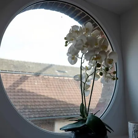 Villa Gite Bellene Beaune (Cote d'Or)