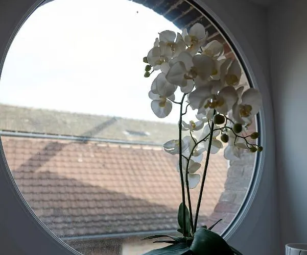 Villa Bellene Beaune (Cote d'Or)